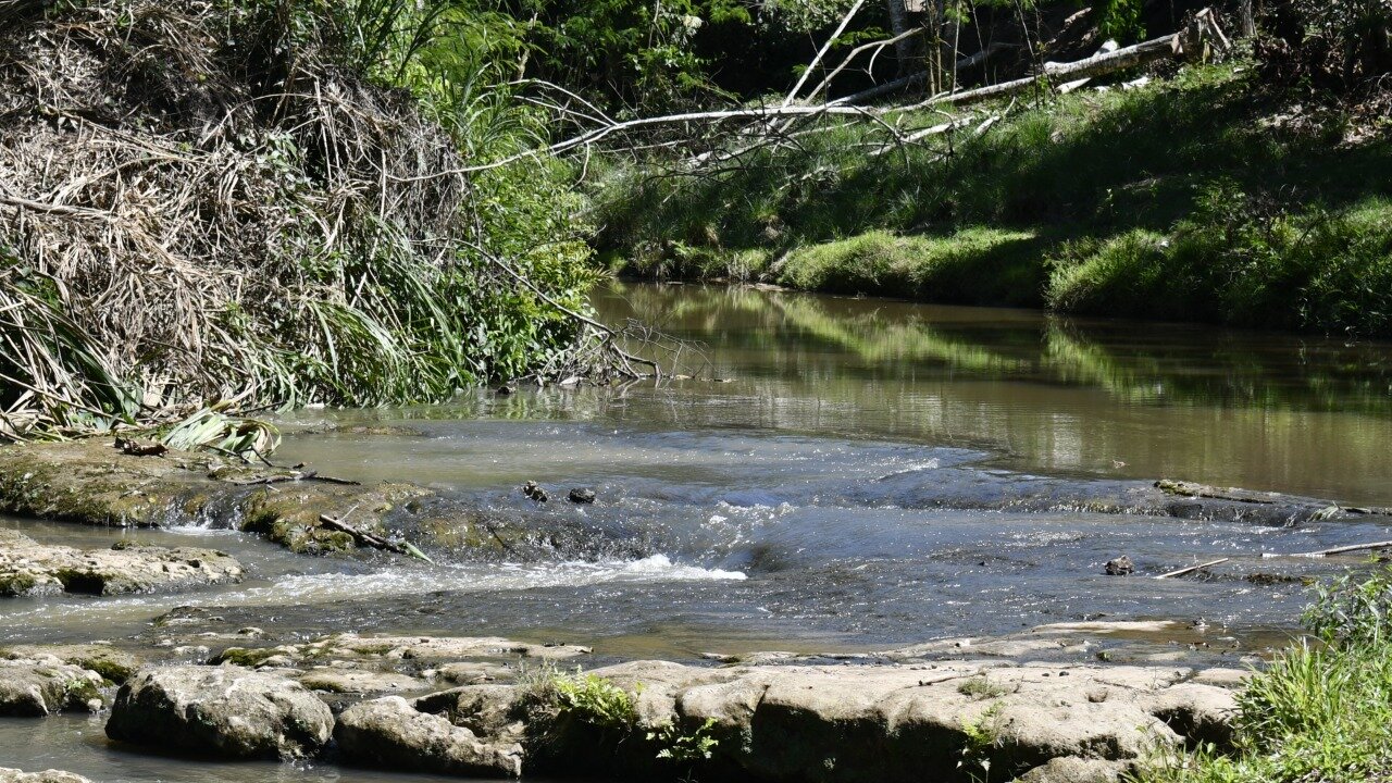 Rio Neshuya