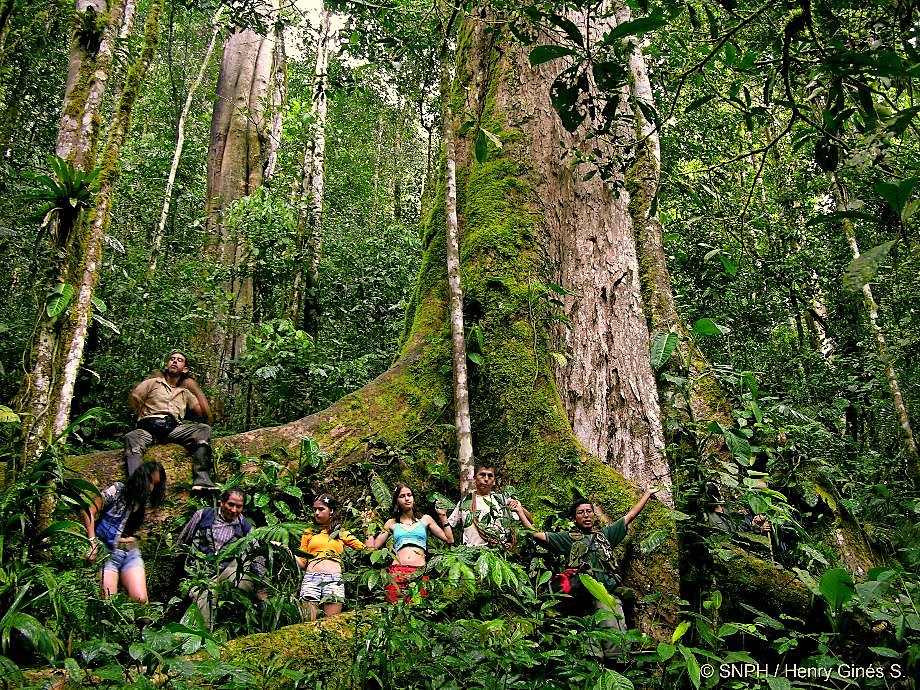 Santuario Nacional Pampa Hermosa