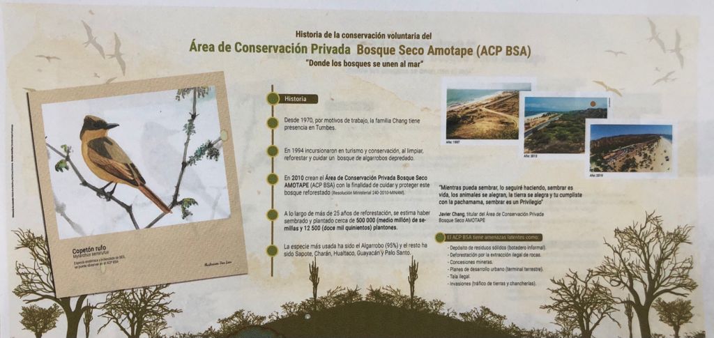 Area de Conservación Privada Bosque Seco Amotape