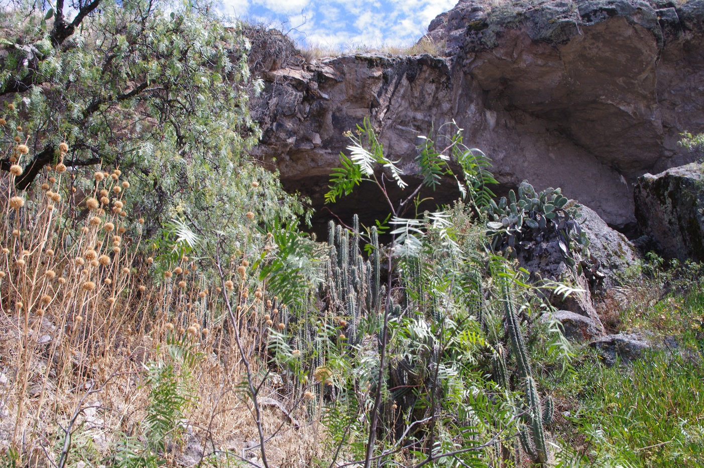 Cueva de Pikimachay