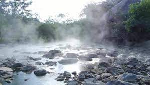 Bosque Santuario Huishtín