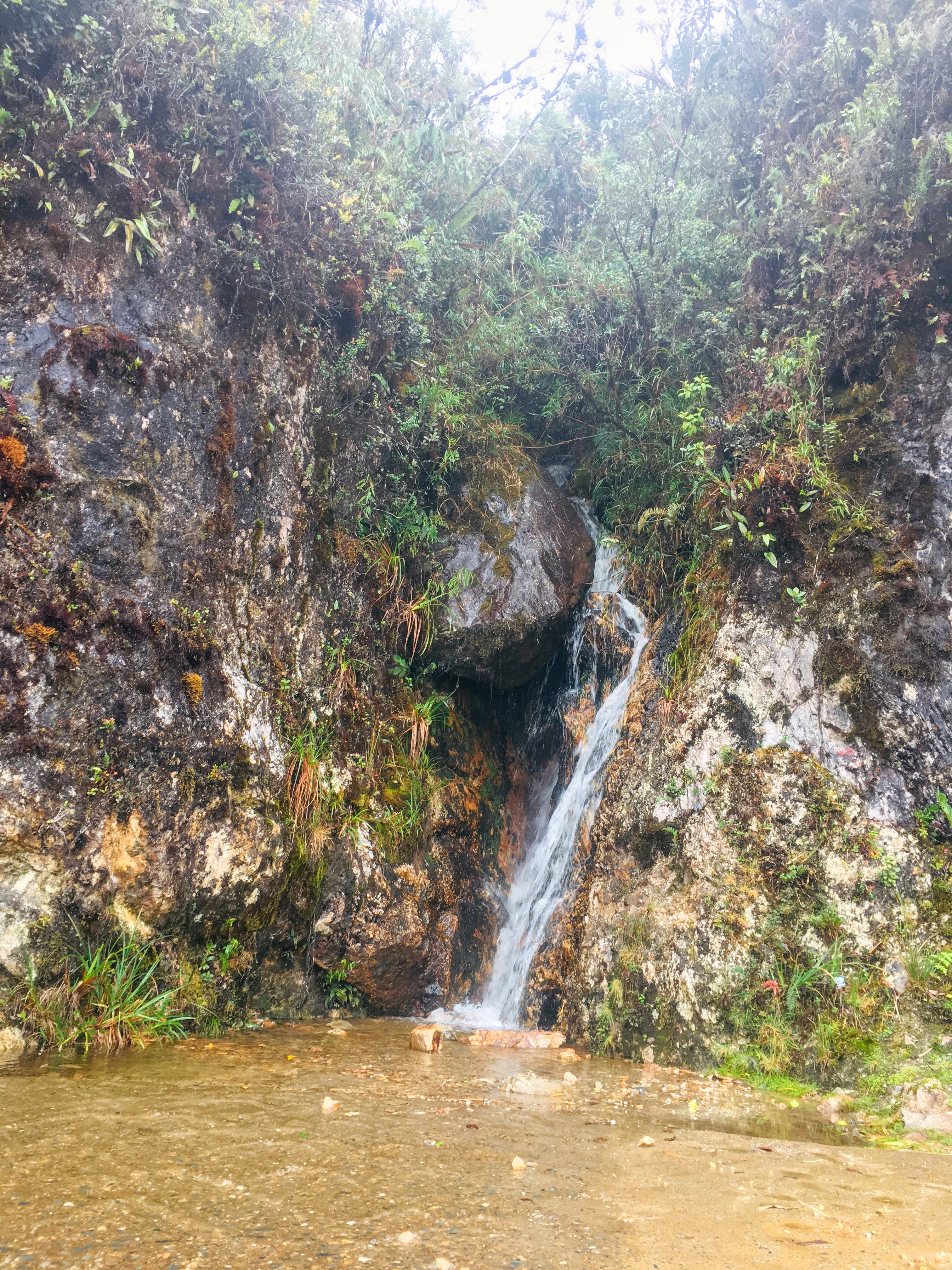 Agua de los Remedios