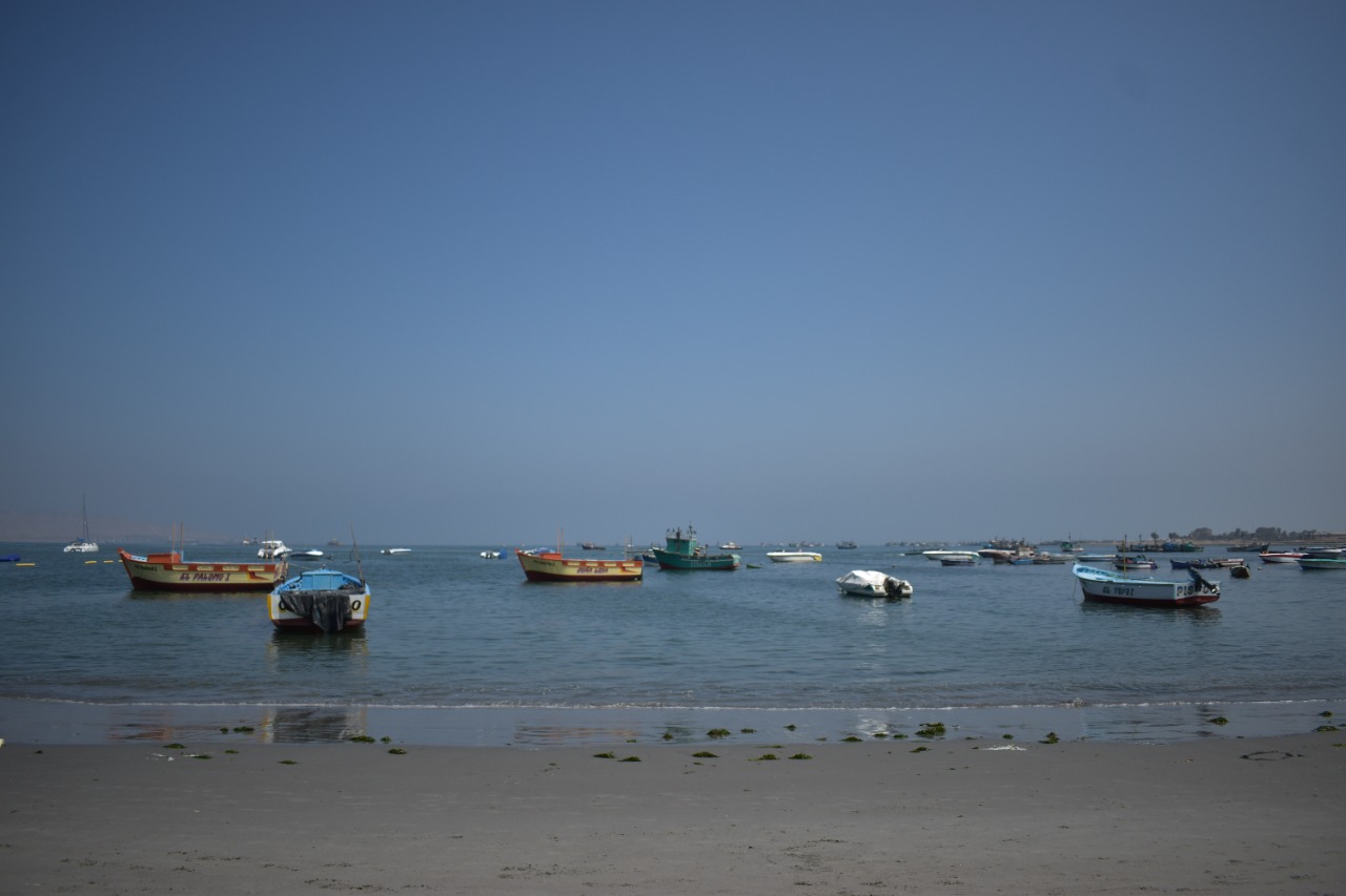 Bahía de Paracas