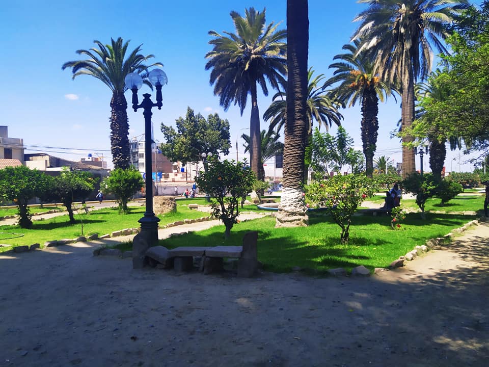 Alameda Bolognesi
