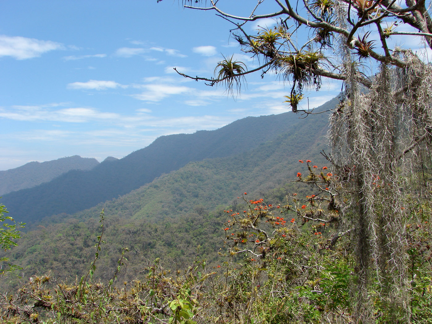 Área de Conservación Regional Bosques Secos Salitral Huarmaca- Bloque Sur