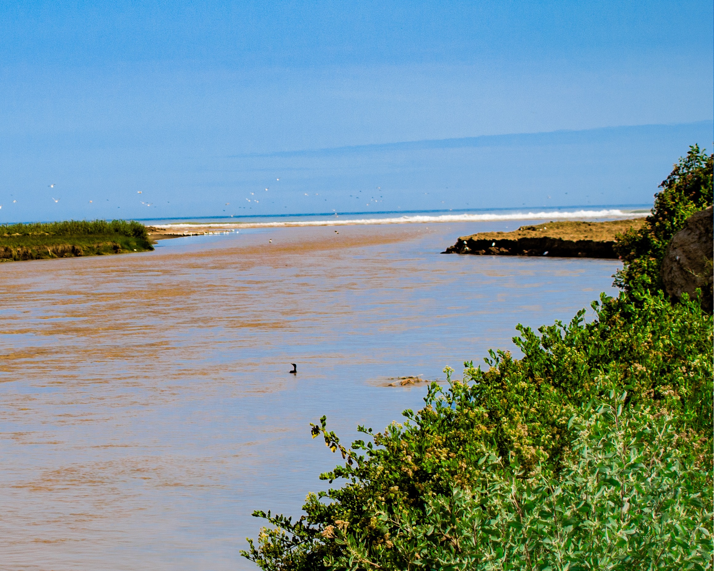 Desembocadura del Río Tambo - Santuario Nacional Lagunas de Mejía