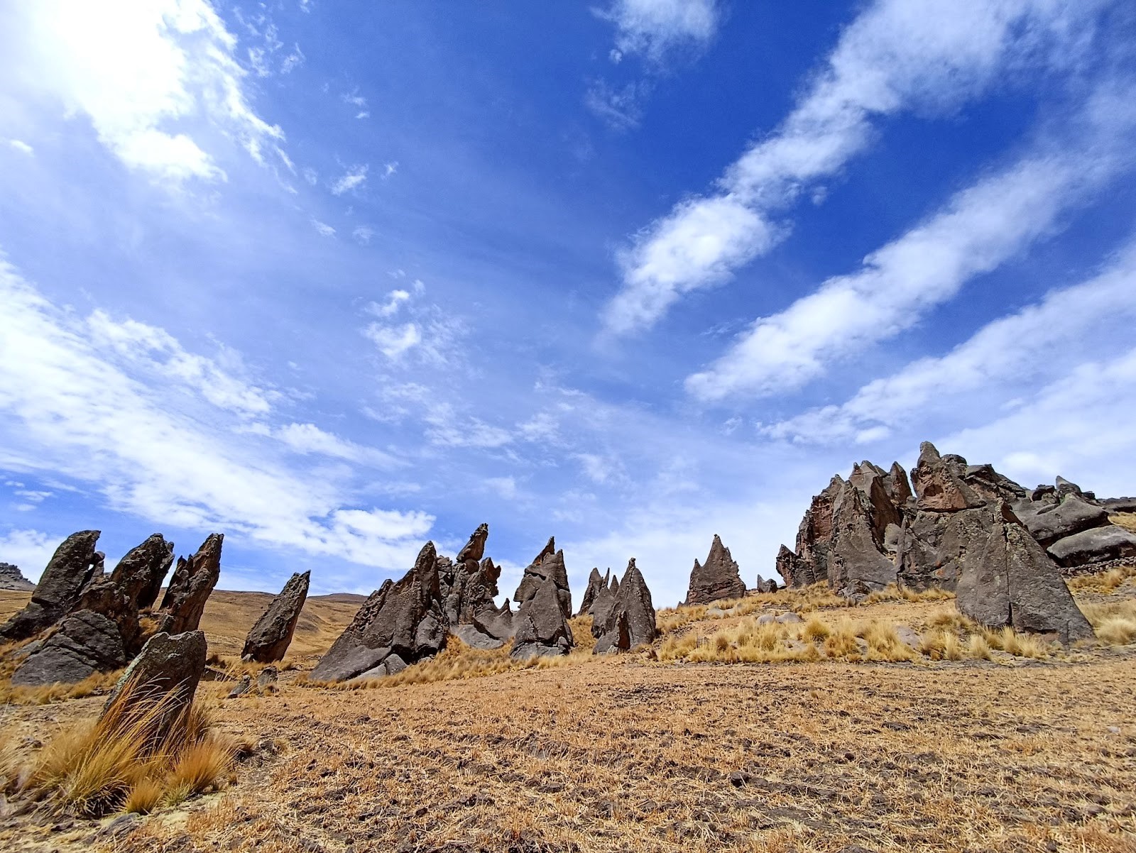 Bosque de Piedras Huayqopunku