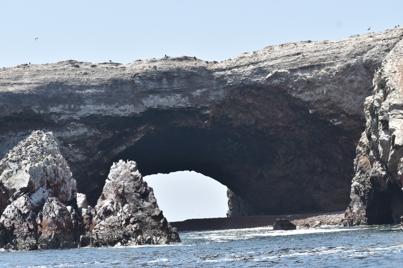 Islas Ballestas - Rnsiipg