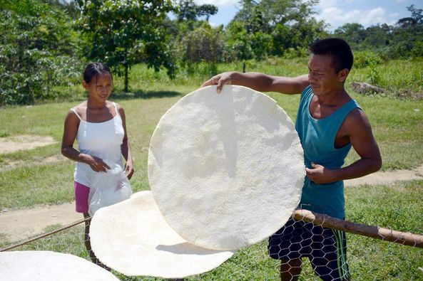 Casabe De Yuca