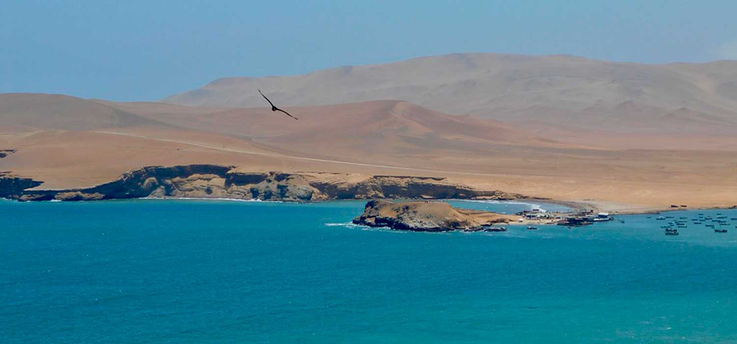 Reserva Nacional de Paracas