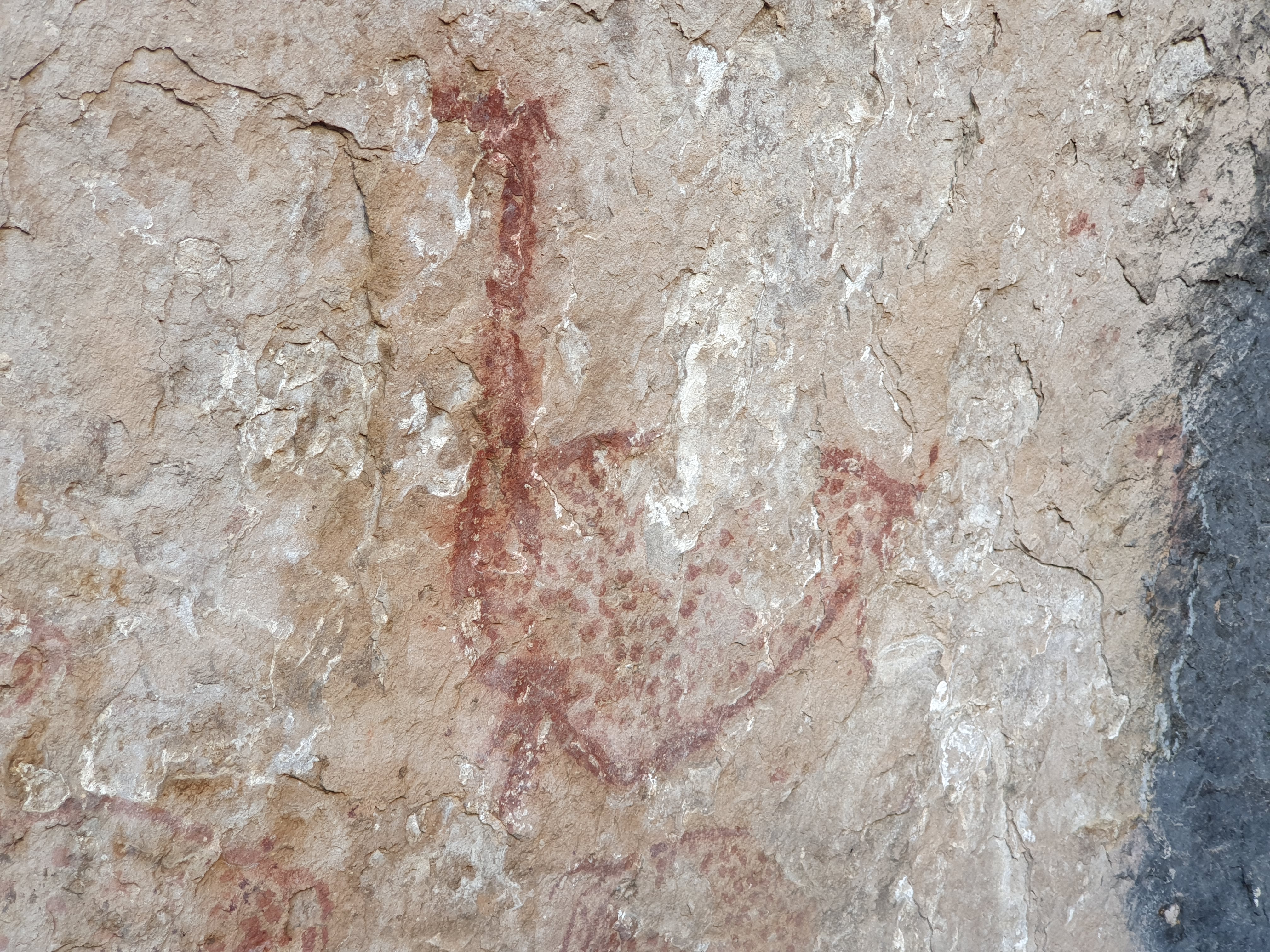 Pinturas Rupestres de Quillamachay