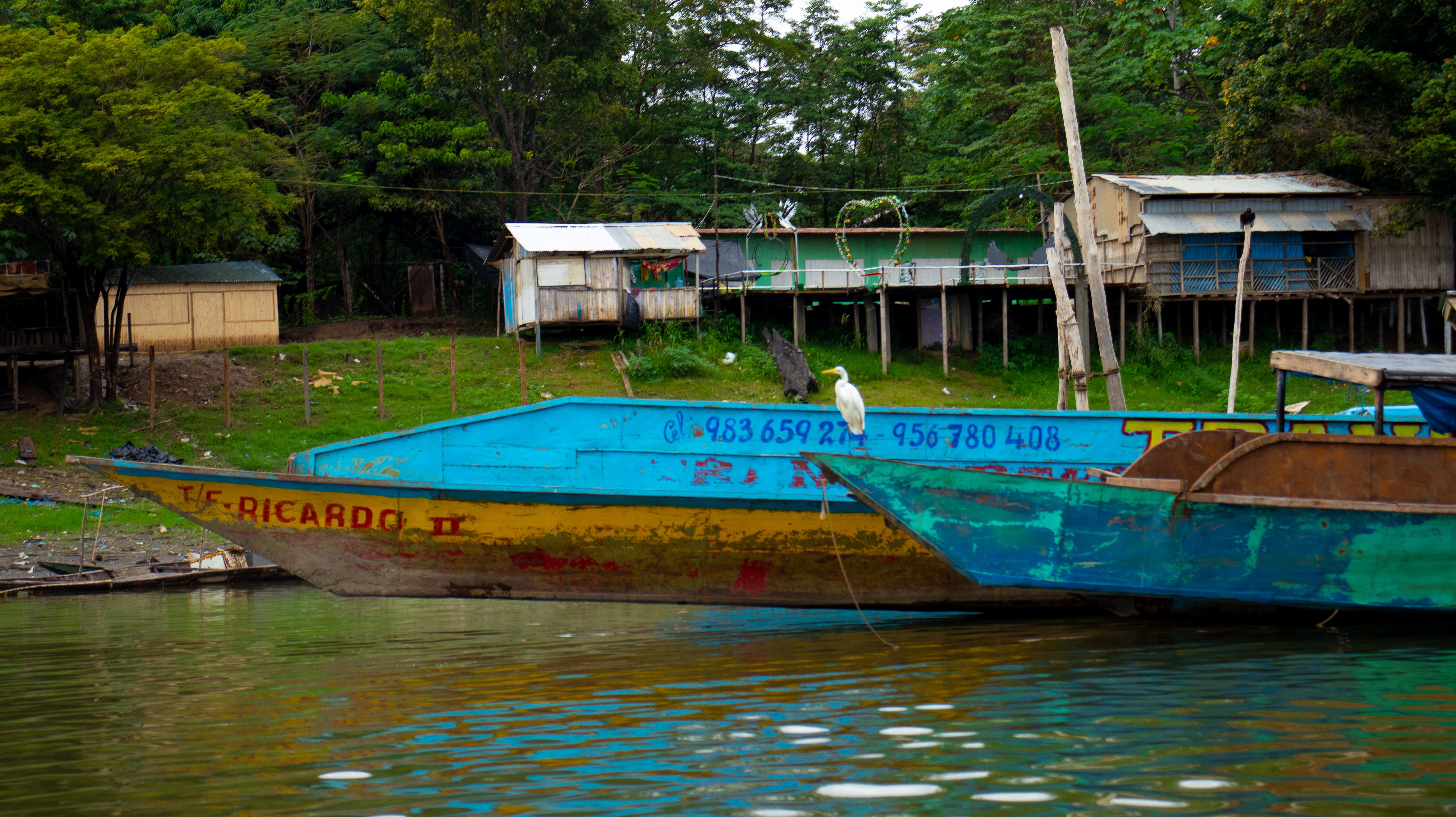 Laguna Yarinacocha