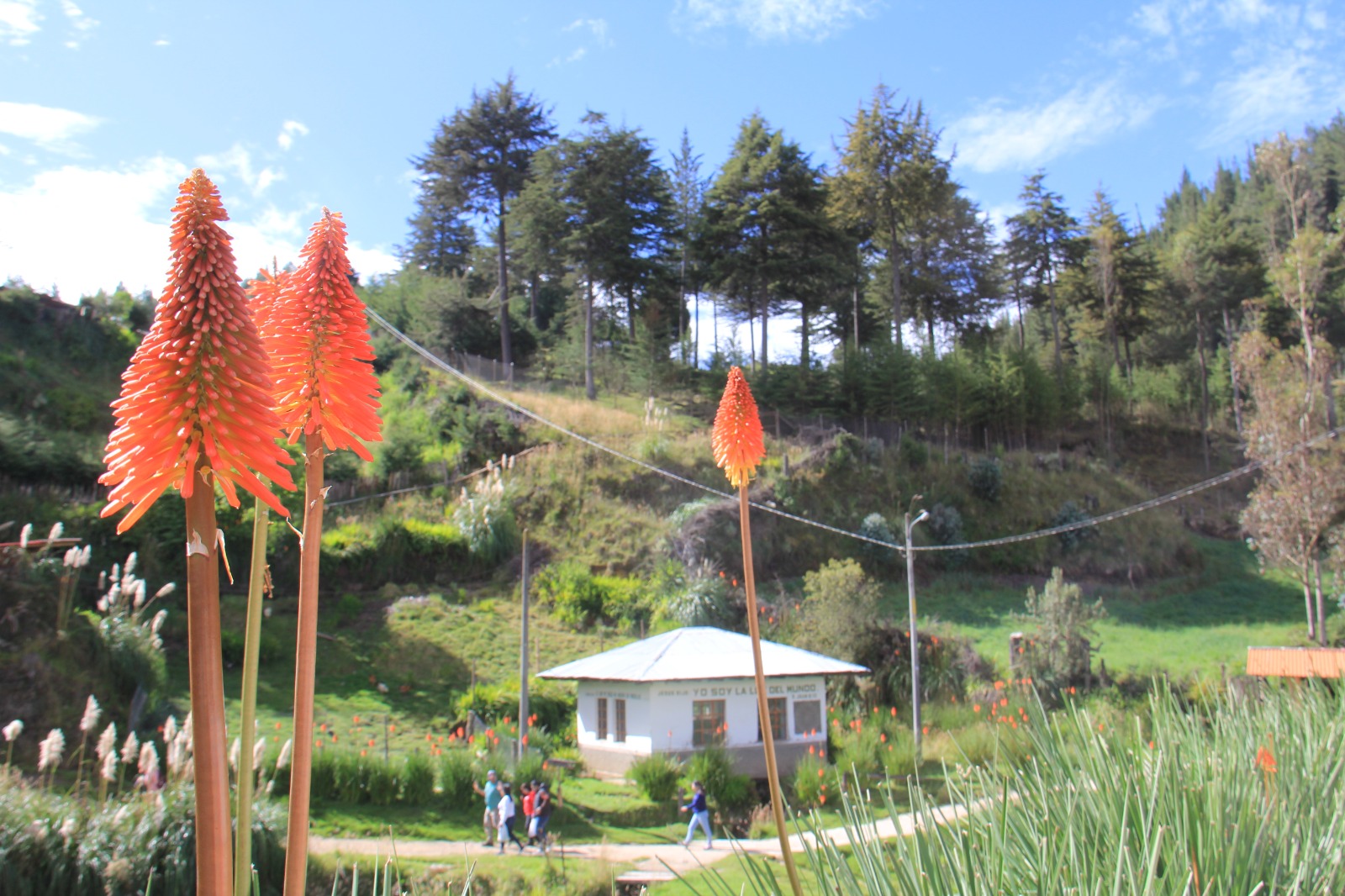 Granja Porcón