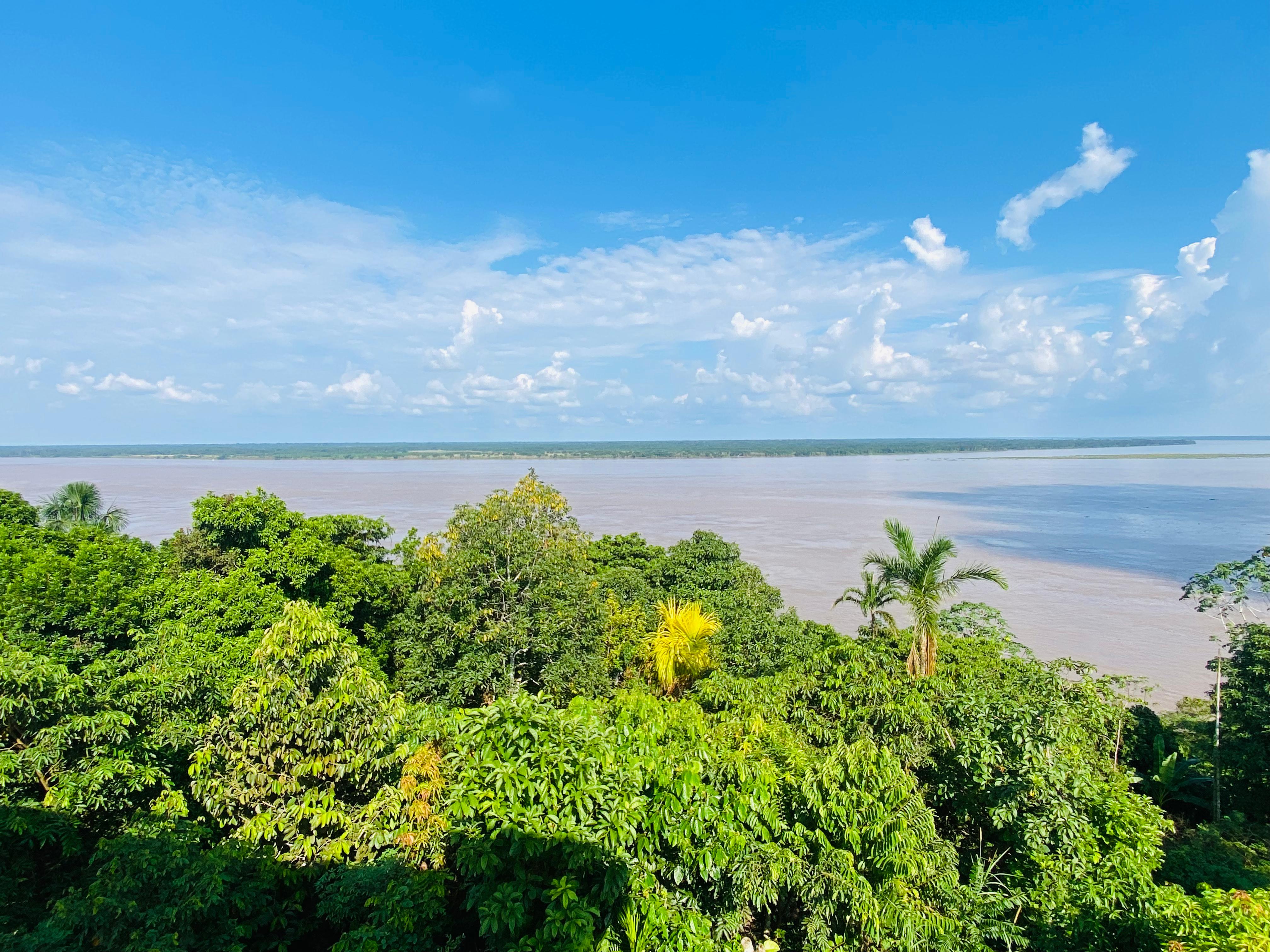 Río Amazonas (Iquitos- Nauta- Pacaya Samiria)