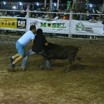 Rodeo Oxapampino